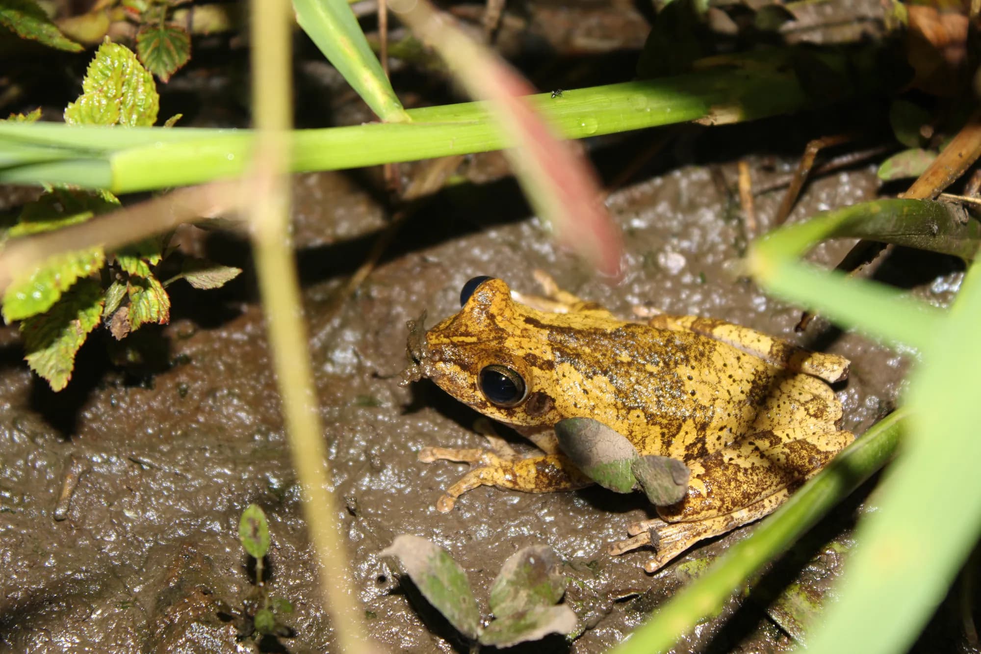 Equipo Eiatec en trabajo de campo