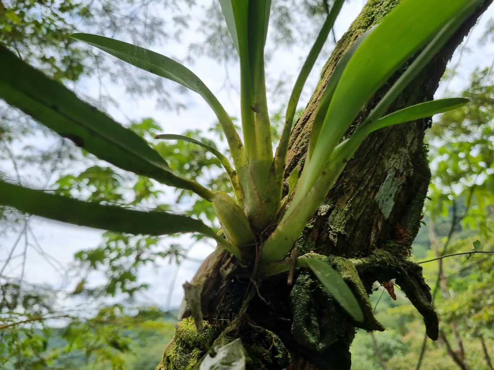 Equipo Eiatec en trabajo de campo