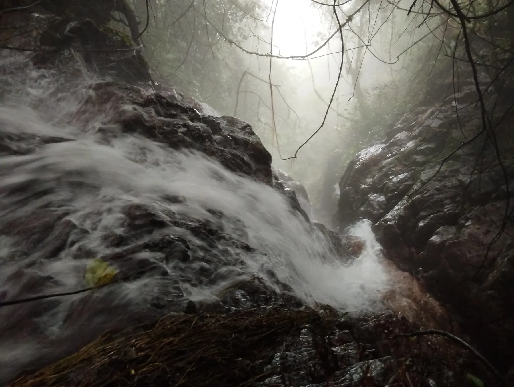 Sostenibilidad — Grupo Energía Bogotá