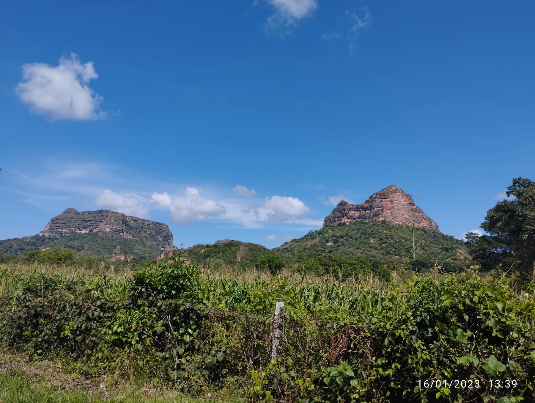 Apoyo operativo en consultas previas