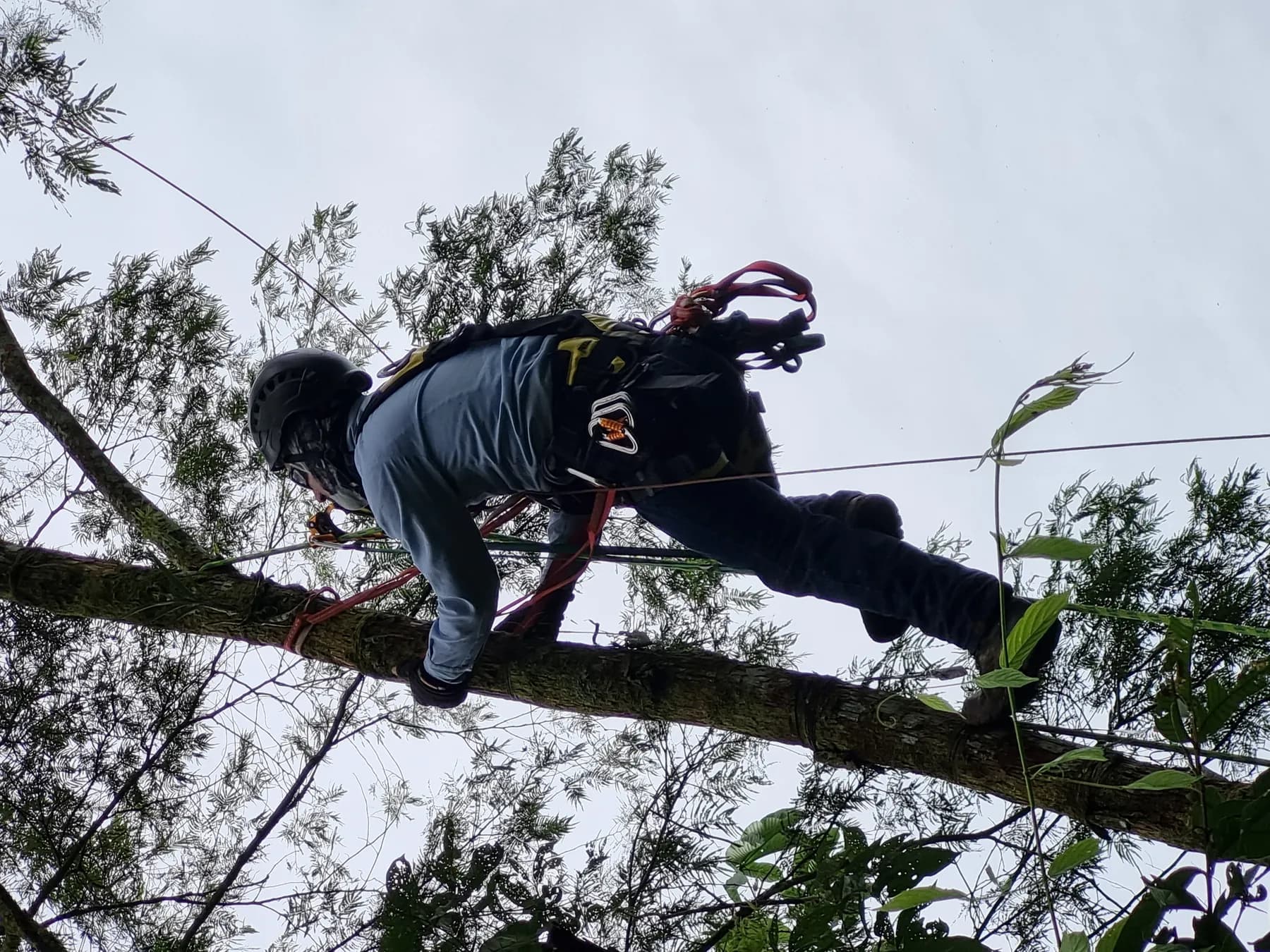Monitoreo y rescate arqueológico Chinchorro